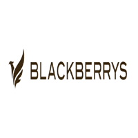 blackberry.png