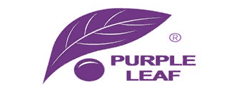 purple.png