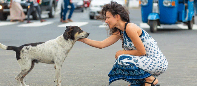 7-Reasons-Why-Adopting-a-Pe.gif