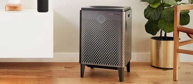 Breath-Fresh-with-the-Best-Air-Purifiers-on-the-Market.jpg