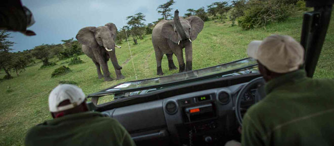 The-Best-Time-of-Year-to-Go-on-a-Safari-Tour.jpg