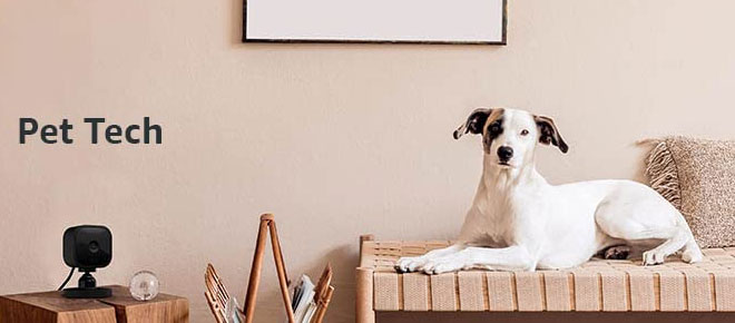 The-Latest-Pet-Tech-Trends-You-Need-to-Know-About.jpg