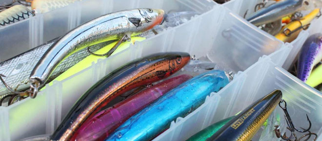 Top-Must-Have-Bass-Fishing-Lures-for-Every-Angler.jpg